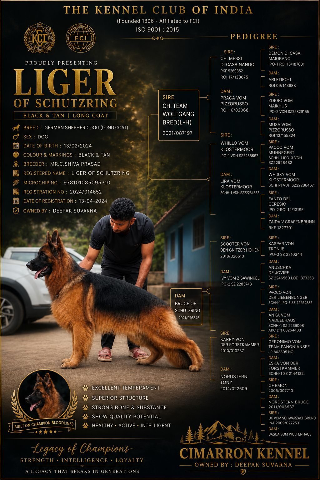 Liger of Schutzring — Cimarron Kennel's German Shepherd sire, pedigree certificate